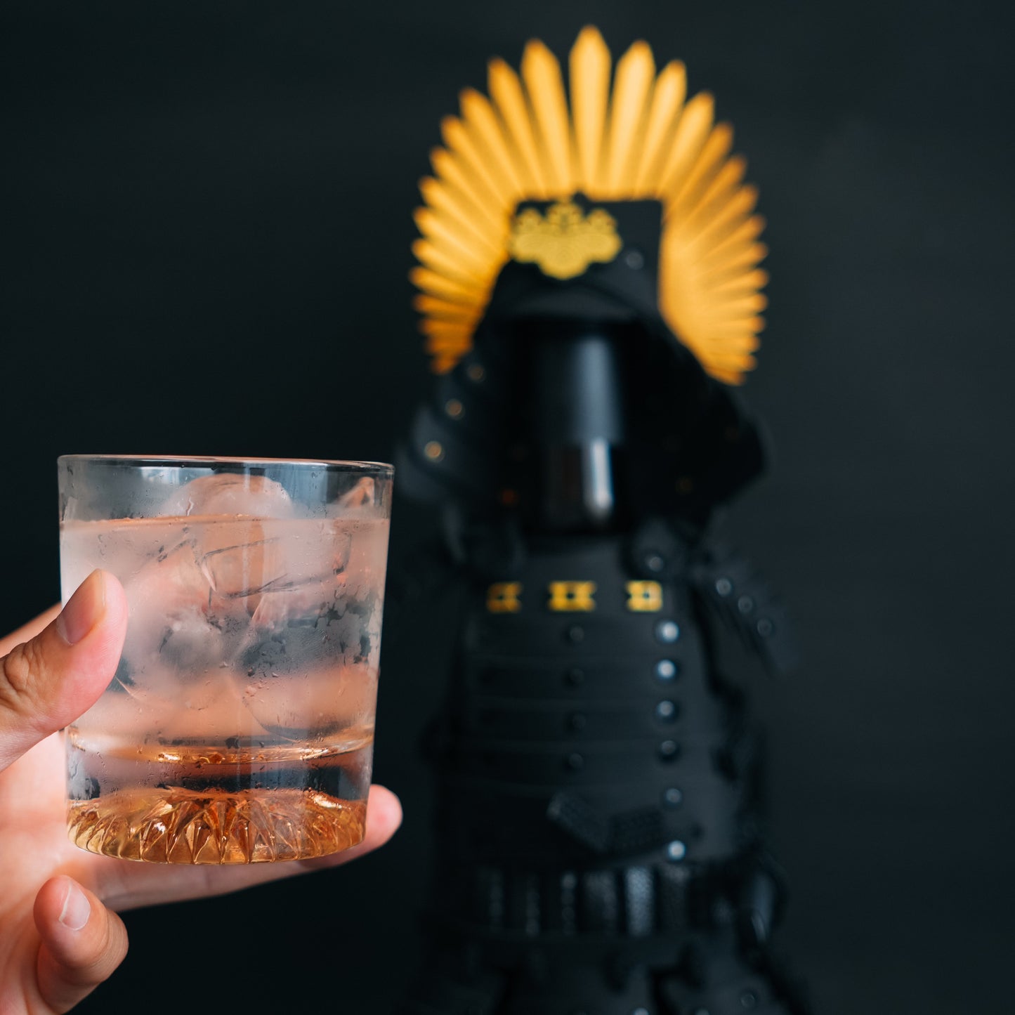 SAMURAI BOTTLE COVER ”TOYOTOMI HIDEYOSHI”